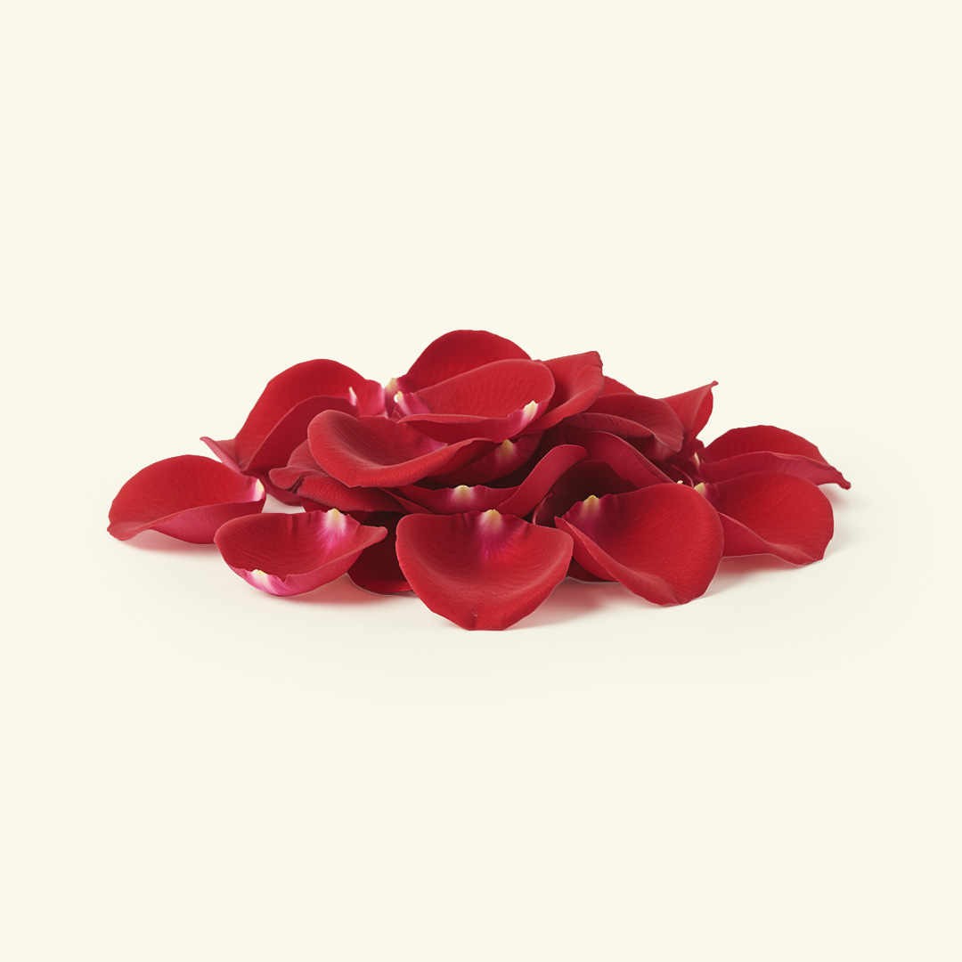 Rose Petals